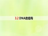2024春高中生物第3章基因的本质3.2DNA的结构课件新人教版必修2