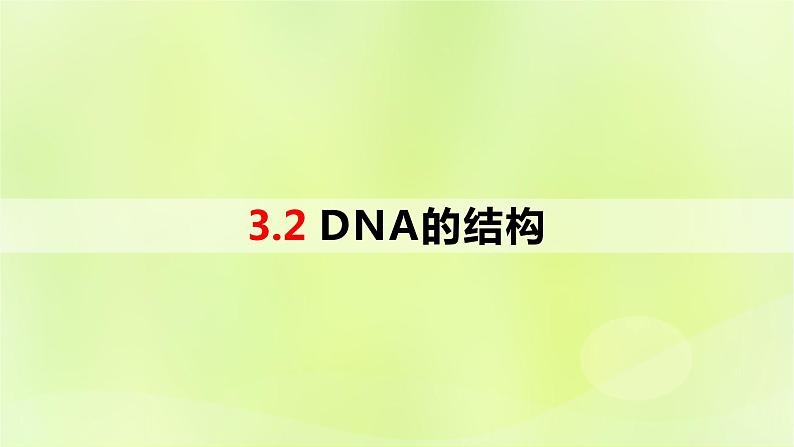 2024春高中生物第3章基因的本质3.2DNA的结构课件新人教版必修2第1页