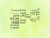 2024春高中生物第3章基因的本质3.2DNA的结构课件新人教版必修2