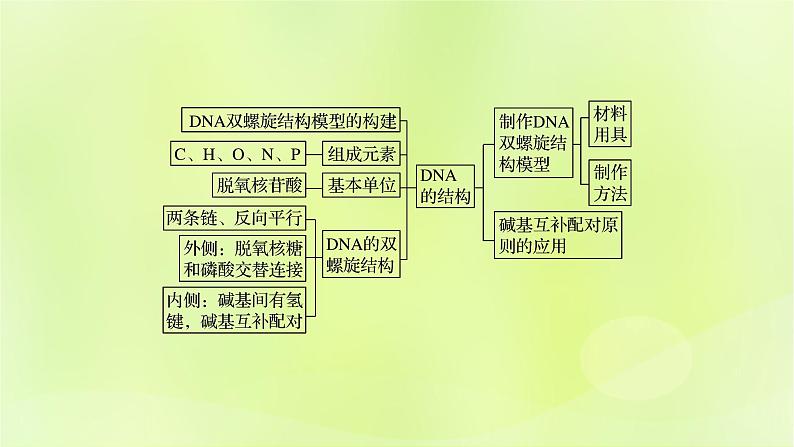 2024春高中生物第3章基因的本质3.2DNA的结构课件新人教版必修2第2页