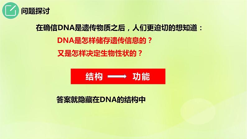 2024春高中生物第3章基因的本质3.2DNA的结构课件新人教版必修2第8页