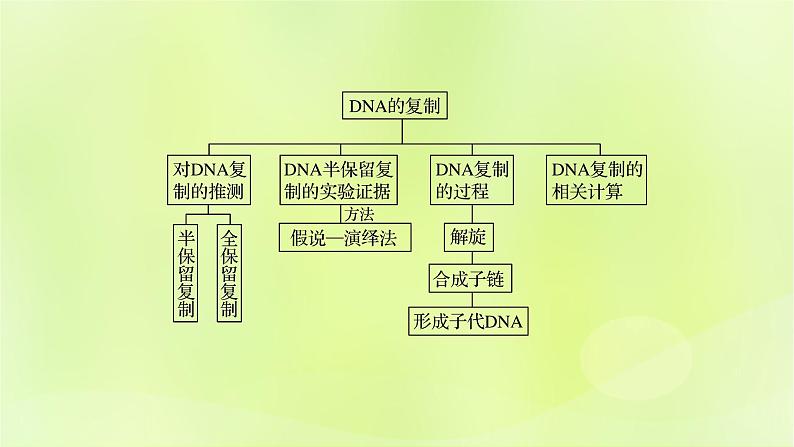 2024春高中生物第3章基因的本质3.3DNA的复制课件新人教版必修202