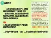 2024春高中生物第3章基因的本质3.3DNA的复制课件新人教版必修2