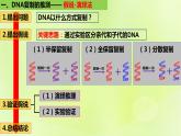 2024春高中生物第3章基因的本质3.3DNA的复制课件新人教版必修2