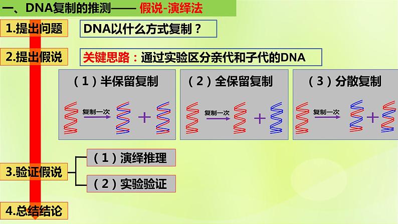 2024春高中生物第3章基因的本质3.3DNA的复制课件新人教版必修205