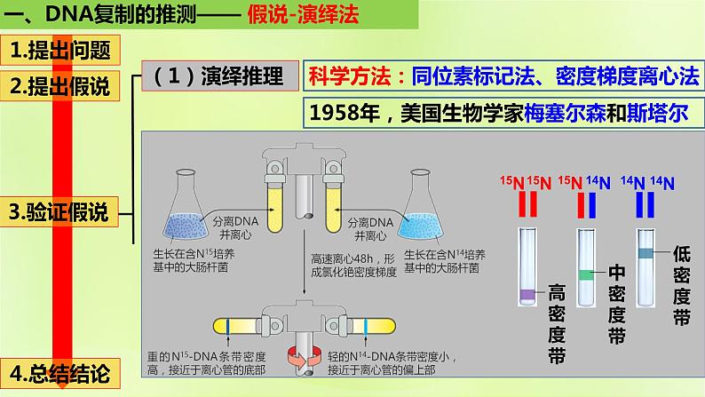 2024春高中生物第3章基因的本质3.3DNA的复制课件新人教版必修206