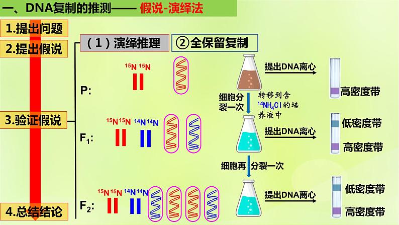 2024春高中生物第3章基因的本质3.3DNA的复制课件新人教版必修208