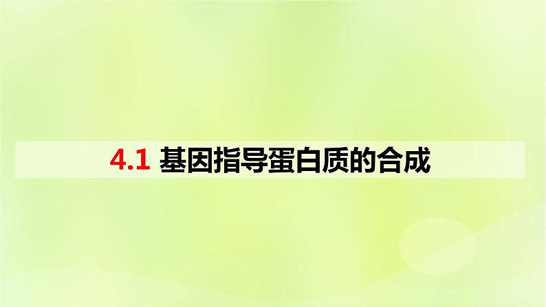 2024春高中生物第4章基因的表达4.1基因指导蛋白质的合成课件新人教版必修201