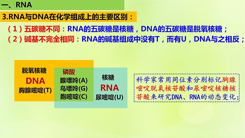 2024春高中生物第4章基因的表达4.1基因指导蛋白质的合成课件新人教版必修207