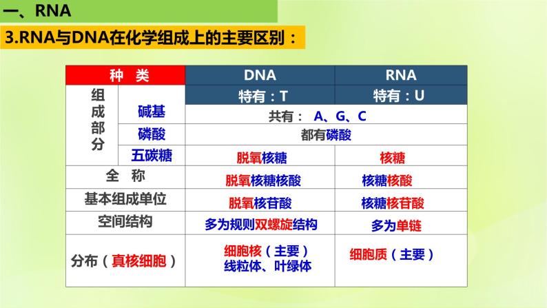 2024春高中生物第4章基因的表达4.1基因指导蛋白质的合成课件新人教版必修208