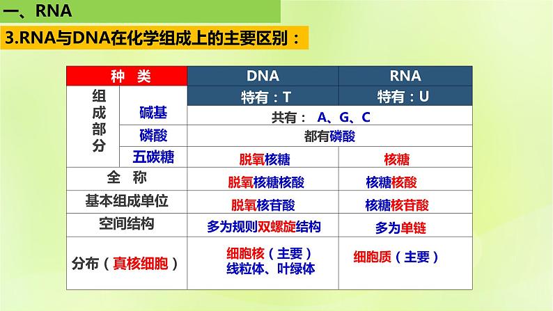 2024春高中生物第4章基因的表达4.1基因指导蛋白质的合成课件新人教版必修208