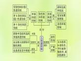 2024春高中生物第5章基因突变及其他变异5.3人类遗传病课件新人教版必修2