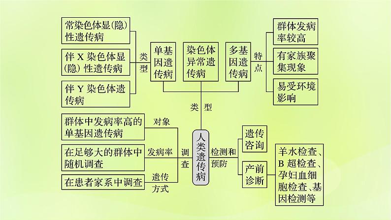 2024春高中生物第5章基因突变及其他变异5.3人类遗传病课件新人教版必修2第2页