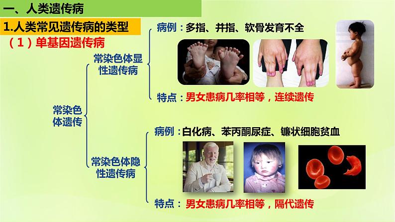 2024春高中生物第5章基因突变及其他变异5.3人类遗传病课件新人教版必修2第8页