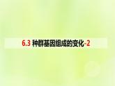 2024春高中生物第6章生物的进化6.3种群基因组成的变化与物种的形成6.3.1种群基因组成的变化第2课时课件新人教版必修2