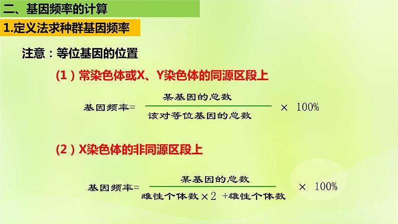 2024春高中生物第6章生物的进化6.3种群基因组成的变化与物种的形成6.3.1种群基因组成的变化第2课时课件新人教版必修2第5页