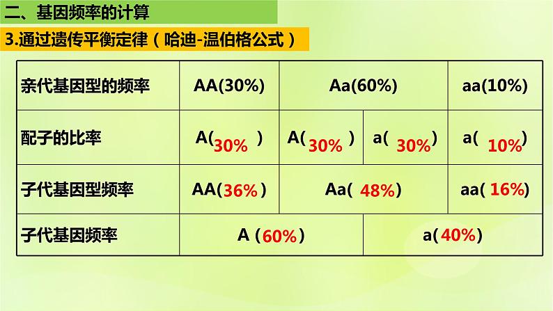 2024春高中生物第6章生物的进化6.3种群基因组成的变化与物种的形成6.3.1种群基因组成的变化第2课时课件新人教版必修2第8页