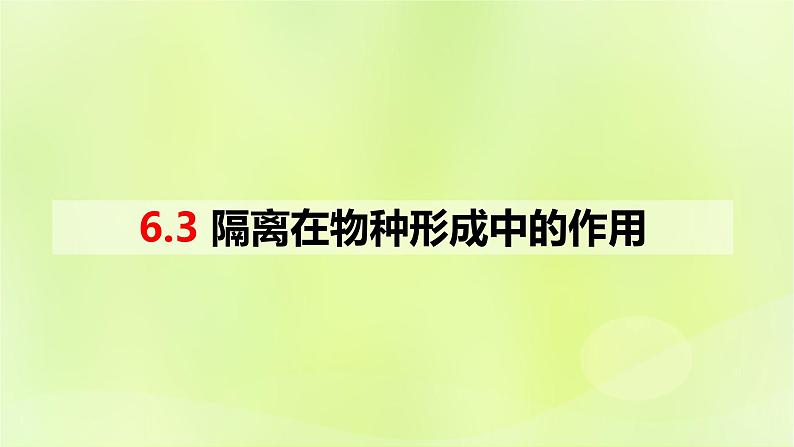 2024春高中生物第6章生物的进化6.3种群基因组成的变化与物种的形成6.3.2隔离在物种形成中的作用课件新人教版必修201