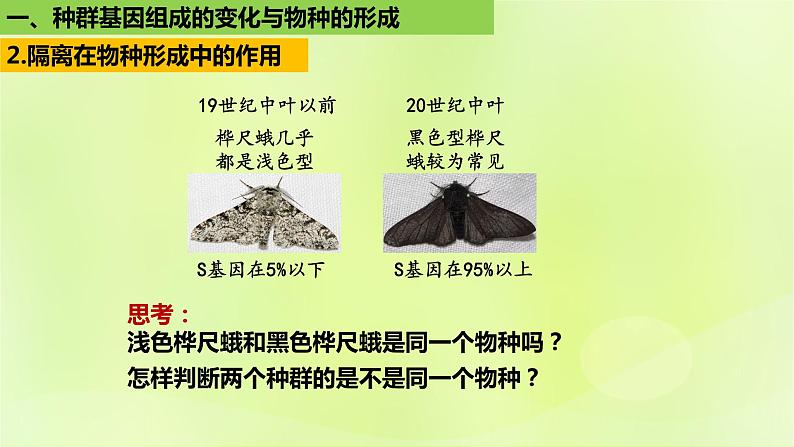 2024春高中生物第6章生物的进化6.3种群基因组成的变化与物种的形成6.3.2隔离在物种形成中的作用课件新人教版必修204