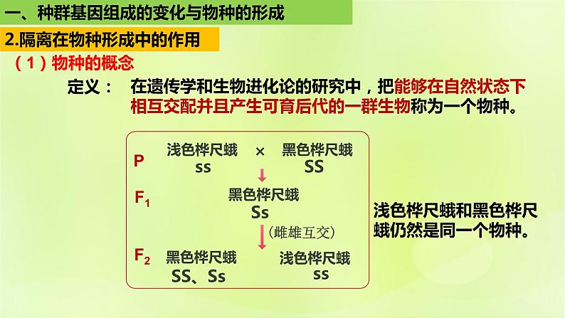 2024春高中生物第6章生物的进化6.3种群基因组成的变化与物种的形成6.3.2隔离在物种形成中的作用课件新人教版必修205