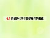 2024春高中生物第6章生物的进化6.4协同进化与生物多样性的形成课件新人教版必修2