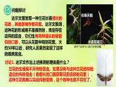 2024春高中生物第6章生物的进化6.4协同进化与生物多样性的形成课件新人教版必修2