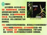 2024春高中生物第6章生物的进化6.4协同进化与生物多样性的形成课件新人教版必修2