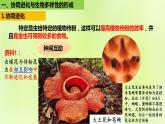 2024春高中生物第6章生物的进化6.4协同进化与生物多样性的形成课件新人教版必修2
