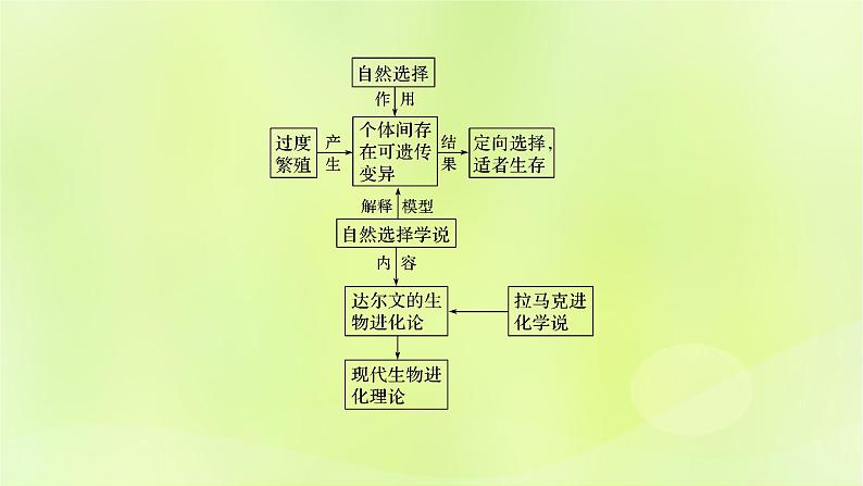 2024春高中生物第6章生物的进化6.2自然选择与适应性的形成课件新人教版必修2第2页