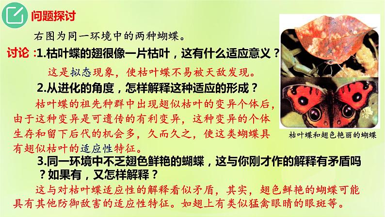 2024春高中生物第6章生物的进化6.2自然选择与适应性的形成课件新人教版必修2第3页