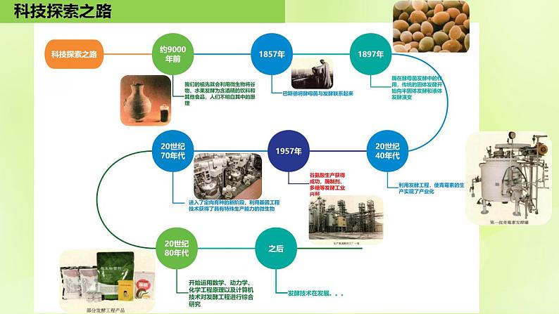 2024春高中生物第1章发酵工程1.1传统发酵技术的应用课件新人教版选择性必修3第3页