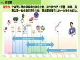 2024春高中生物第1章发酵工程第2节微生物的培养技术及应用1.2.1微生物的基本培养技术课件新人教版选择性必修3