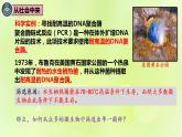 2024春高中生物第1章发酵工程第2节微生物的培养技术及应用1.2.2微生物的选择培养和计数课件新人教版选择性必修3