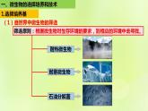 2024春高中生物第1章发酵工程第2节微生物的培养技术及应用1.2.2微生物的选择培养和计数课件新人教版选择性必修3
