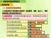 2024春高中生物第1章发酵工程第2节微生物的培养技术及应用1.2.2微生物的选择培养和计数课件新人教版选择性必修3