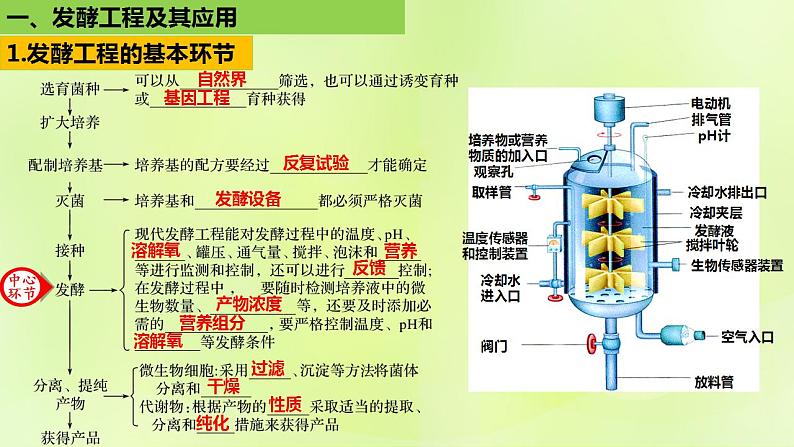 2024春高中生物第1章发酵工程1.3发酵工程及其应用课件新人教版选择性必修3第4页