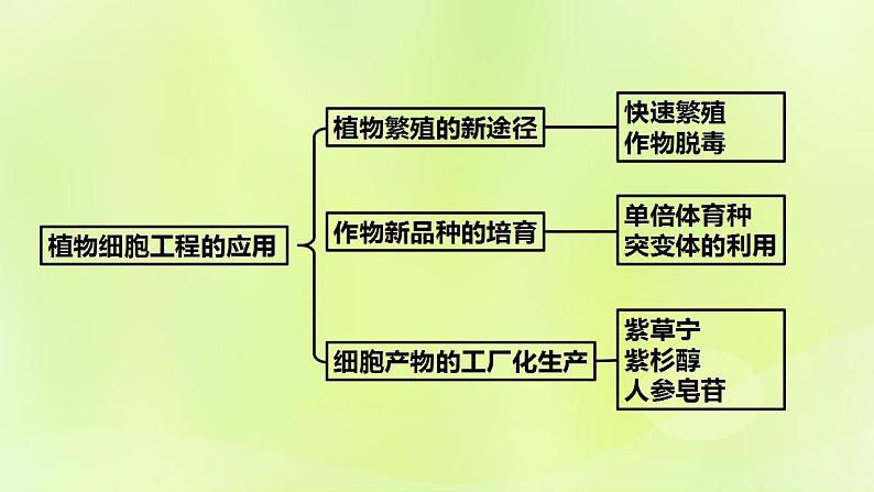 2024春高中生物第2章细胞工程第1节植物细胞工程1.2植物细胞工程的应用课件新人教版选择性必修302