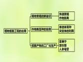 2024春高中生物第2章细胞工程第1节植物细胞工程1.2植物细胞工程的应用课件新人教版选择性必修3