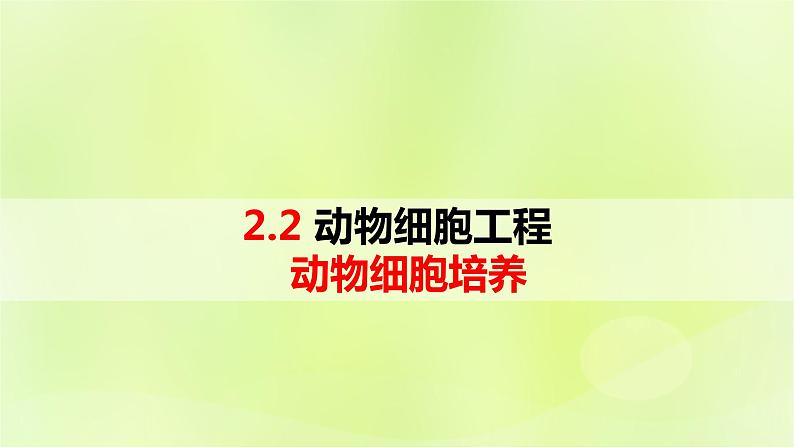 2024春高中生物第2章细胞工程第2节动物细胞工程2.1动物细胞培养课件新人教版选择性必修3第1页
