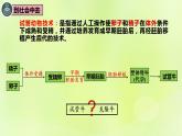 2024春高中生物第2章细胞工程第3节胚胎工程3.2胚胎工程技术及其应用课件新人教版选择性必修3