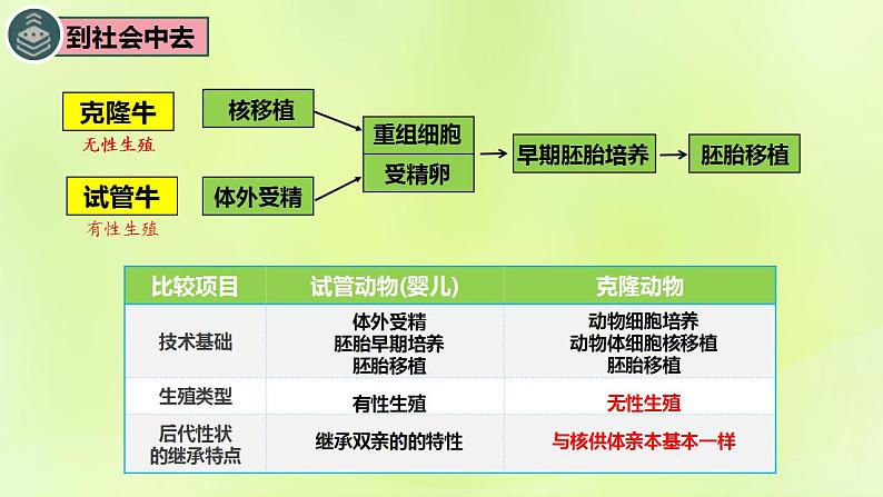 2024春高中生物第2章细胞工程第3节胚胎工程3.2胚胎工程技术及其应用课件新人教版选择性必修305