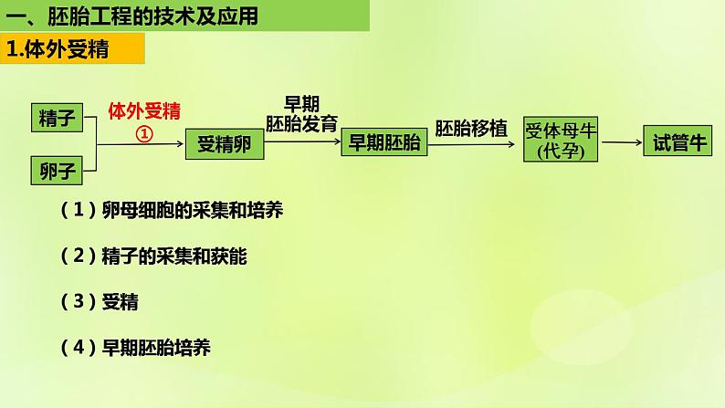 2024春高中生物第2章细胞工程第3节胚胎工程3.2胚胎工程技术及其应用课件新人教版选择性必修306