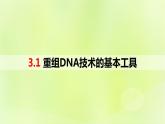 2024春高中生物第3章基因工程3.1重组DNA技术的基本工具课件新人教版选择性必修3