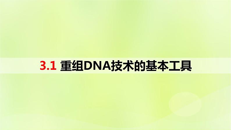 2024春高中生物第3章基因工程3.1重组DNA技术的基本工具课件新人教版选择性必修301