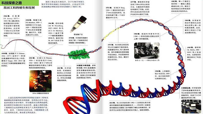 2024春高中生物第3章基因工程3.1重组DNA技术的基本工具课件新人教版选择性必修303