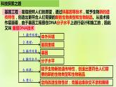 2024春高中生物第3章基因工程3.1重组DNA技术的基本工具课件新人教版选择性必修3