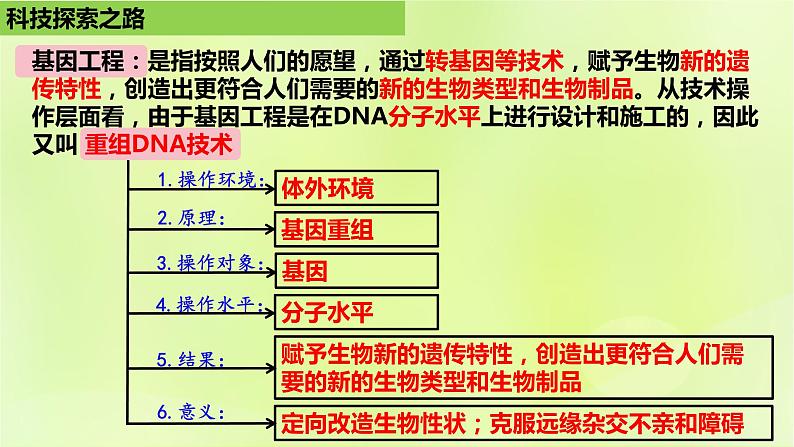 2024春高中生物第3章基因工程3.1重组DNA技术的基本工具课件新人教版选择性必修304