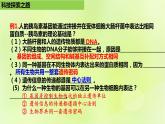 2024春高中生物第3章基因工程3.1重组DNA技术的基本工具课件新人教版选择性必修3