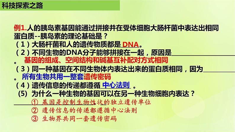 2024春高中生物第3章基因工程3.1重组DNA技术的基本工具课件新人教版选择性必修305