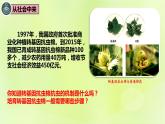 2024春高中生物第3章基因工程3.2基因工程的基本操作程序第1课时课件新人教版选择性必修3